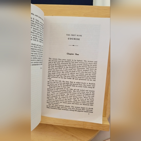 VTG PB 1979 Blood Brother by Elliott Arnold (1st Bison Book printing) fiction - Picture 5 of 5